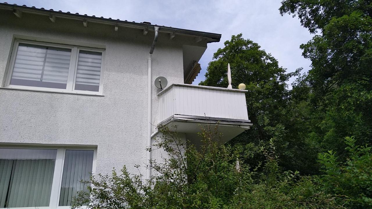 Ferienwohnung Steinatal Bad Sachsa Exterior foto