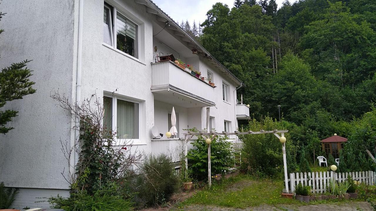 Ferienwohnung Steinatal Bad Sachsa Exterior foto